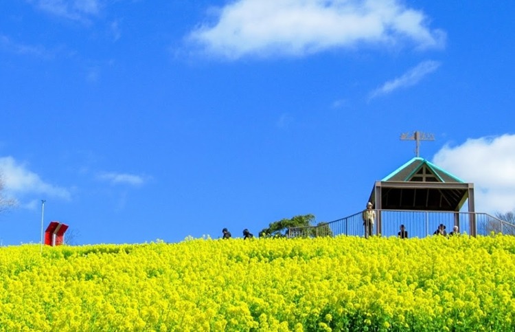 神戸市須磨区の時計店3選