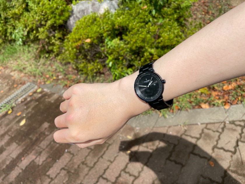 太陽光に反射したブラックが美しい