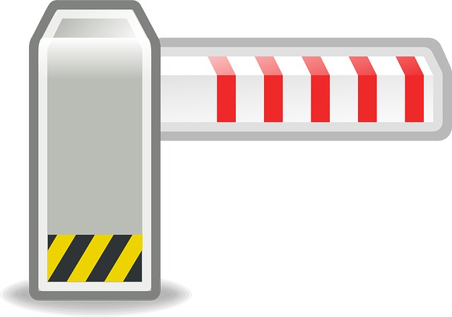 理由2：流通量の制限で価格が上がる可能性