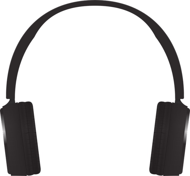 ボタンを押したままだと音が拾えない