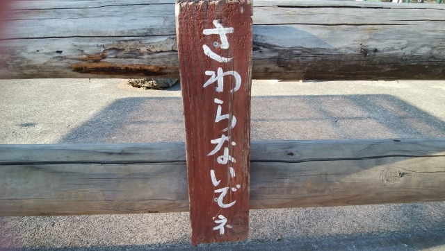 電波受信中は時計を動かさない