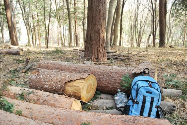 WSD-F21HR-BKの特徴・機能