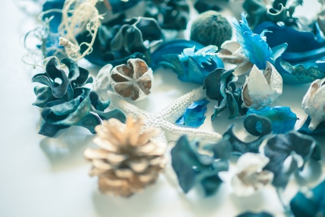 さわやかな印象を与える