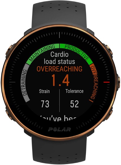 POLAR(ポラール) VANTAGE M