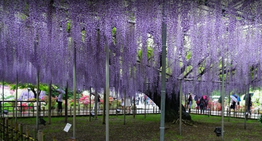 足利市の時計店：安心堂のメニュー・料金