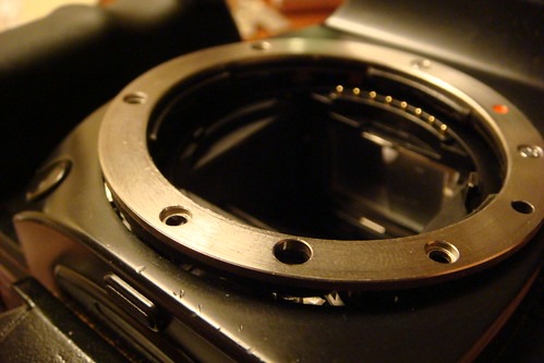 腕時計の裏蓋をオープナーで外す