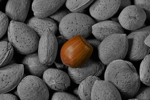 神戸市須磨区の時計店：山川時計店の特徴・品揃え