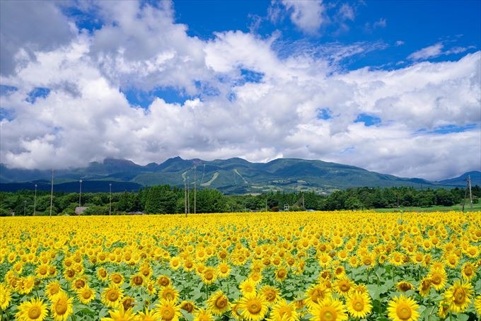 野木町周辺の時計店9選！電池交換や修理、販売のおすすめ店