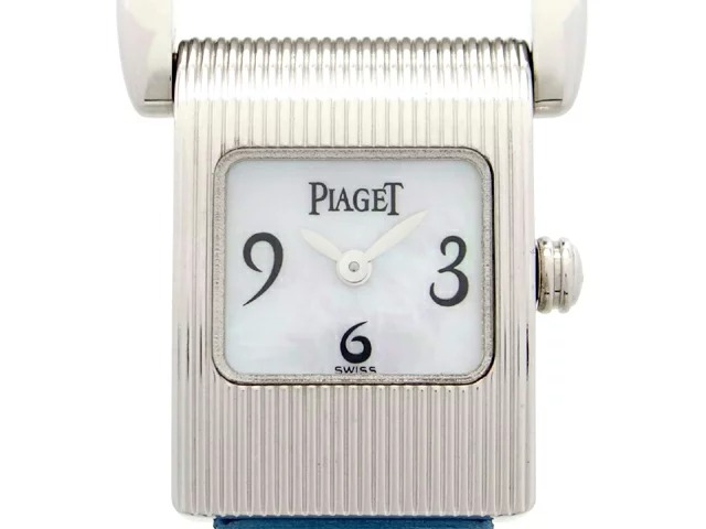 ピアジェ ミスプロトコール WG