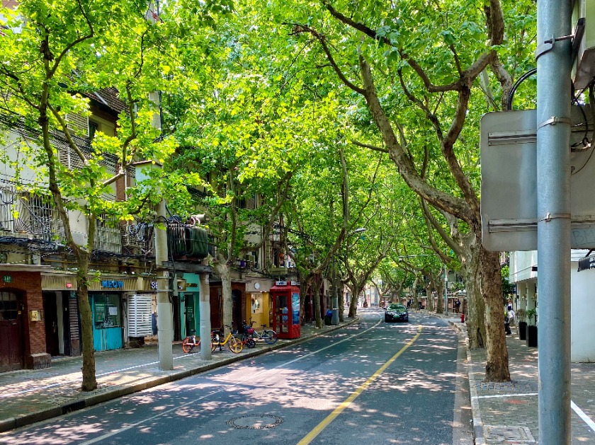 朝倉市の時計店は？電池交換や修理、買取販売のおすすめ店