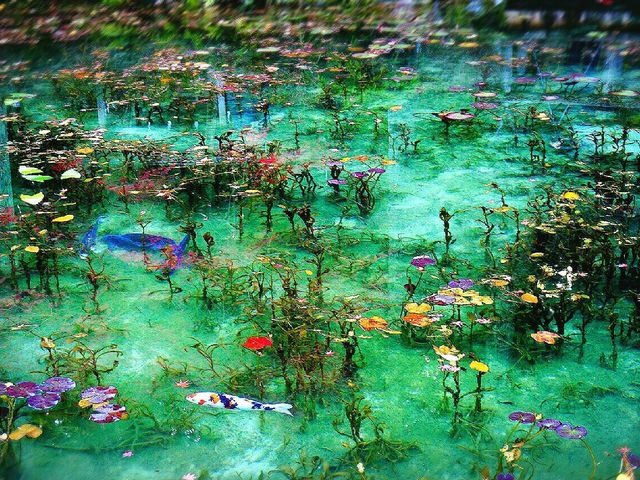 岐阜県関市　モネの池