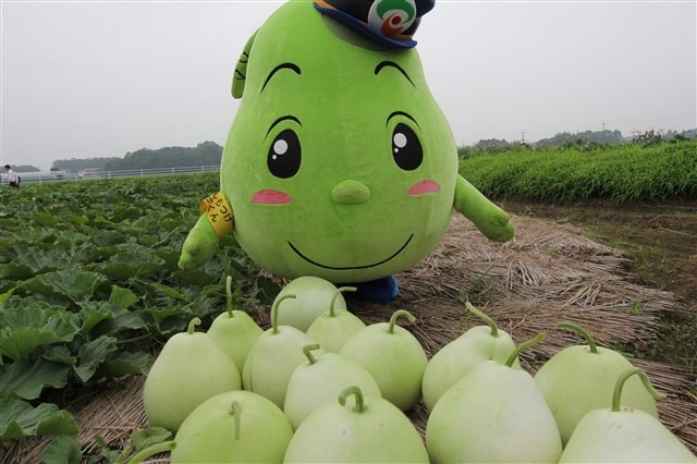 栃木県下野市のゆるキャラ「カンピくん」とかんぴょう（ユウガオ）