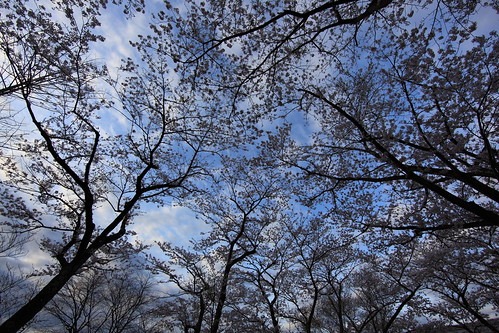 笠間市の時計店は修理店舗が多い