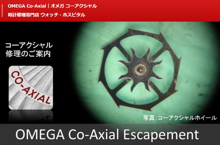 ウォッチホスピタルの特徴