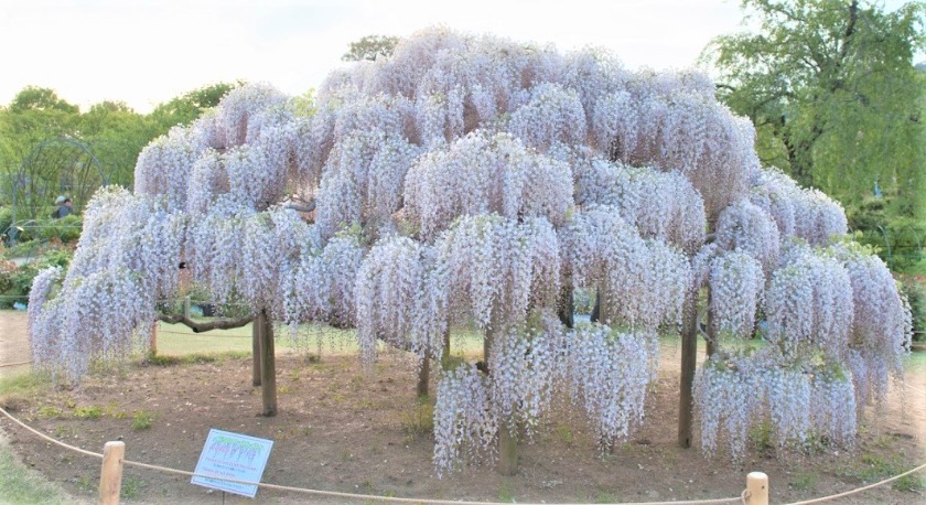 足利市の時計店：安倍時計店のメニュー・料金