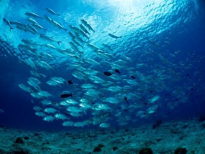 グラデーションブルーダイアル