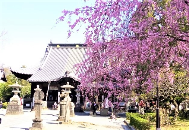 足利市の時計買取店 比較一覧表