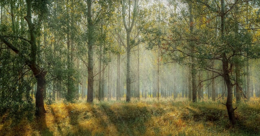 ロンジンの腕時計 メンズ人気おすすめランキング