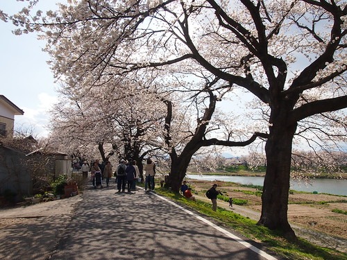 宮城県多賀城市の時計店は？電池交換や修理、買取販売店のおすすめ店
