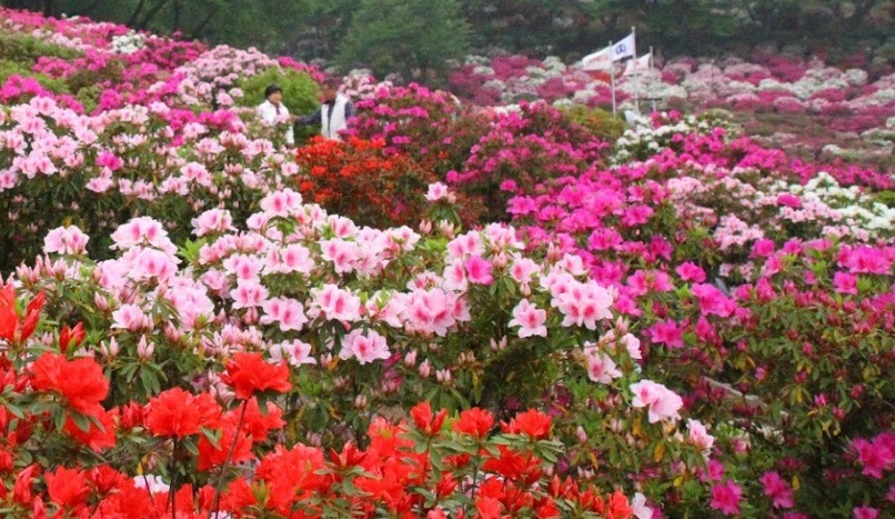 鯖江市の時計店：ウィズ中央堂のメニュー・料金