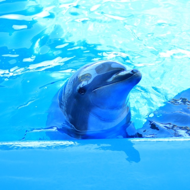 水に強く錆びにくい