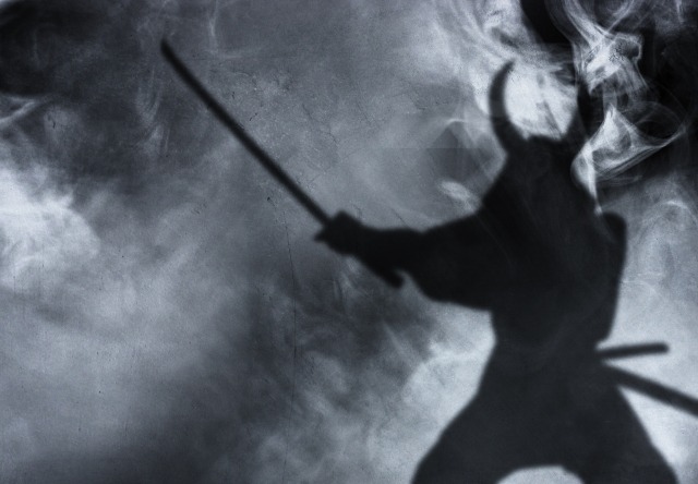 SRPB51K1の特徴・機能