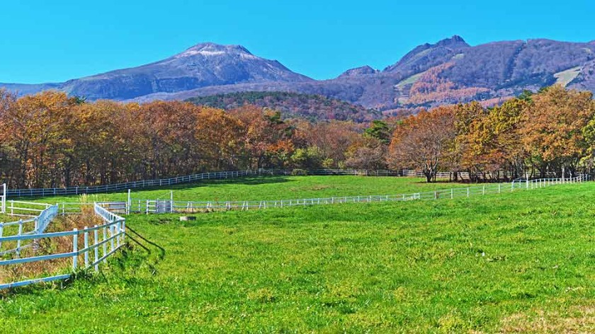 那須町の時計店2選！電池交換や修理、販売のおすすめ店