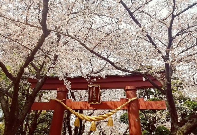 蒲田の時計販売店2選