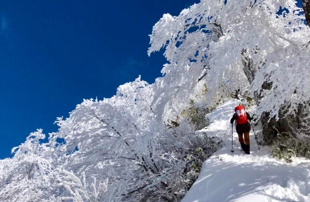 大野市の時計店：ジュエリーニシモリの特徴