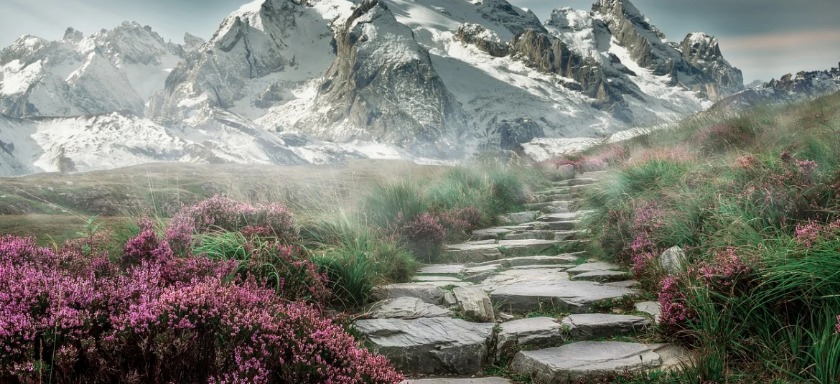 タイメックスクロノグラフはどんな時計？