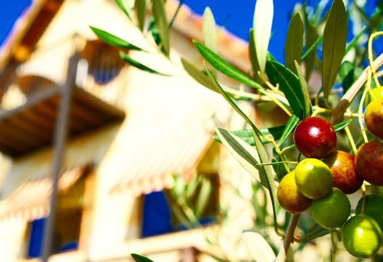 江田島市周辺の電池交換・時計修理店