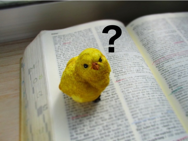 GA-100B-7AJFの口コミ