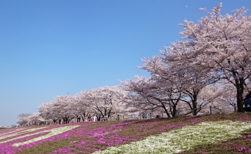 赤羽の時計販売店 比較一覧表