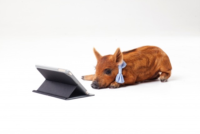 MTP-V001GL-7Bの口コミ･評価