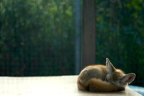 Withings Steel HR HWA03-40BLACK-ALL-JPの機能