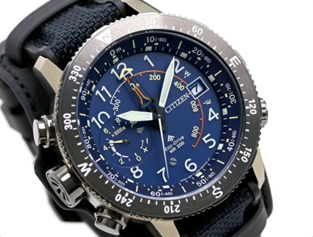 エコドライブ ALTICHRON 30周年限定品 BN4055-19L