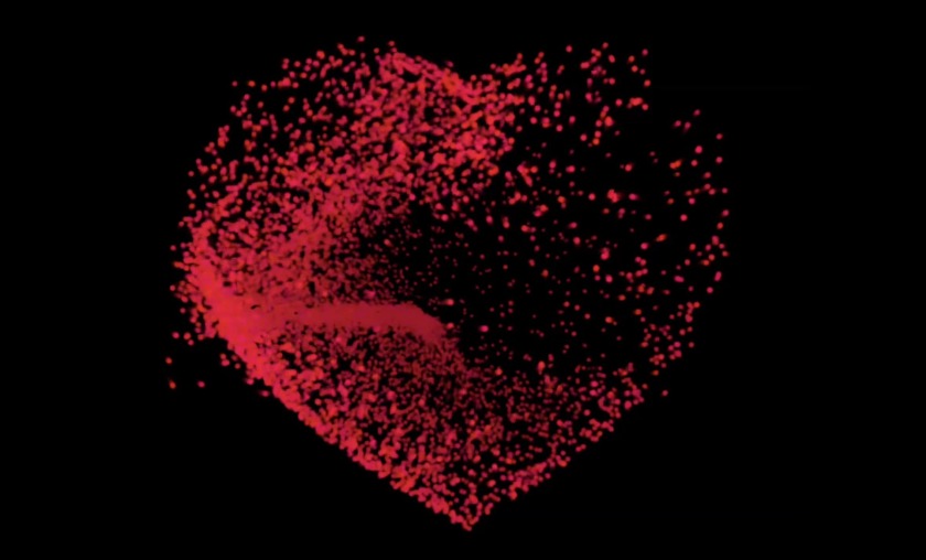 AppleWatch7と６の相違点⑨心拍アプリ