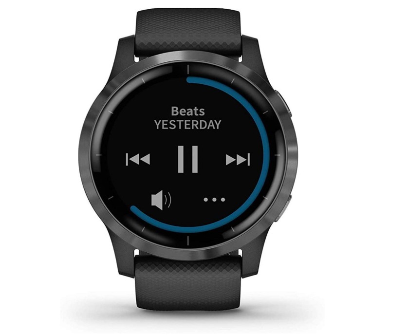 ガーミン vivoactive 4 010-02174-17 