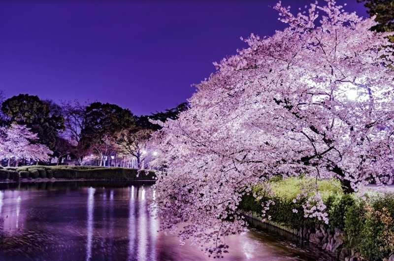 名古屋市北区の時計店！電池交換や修理、買取販売のおすすめ店