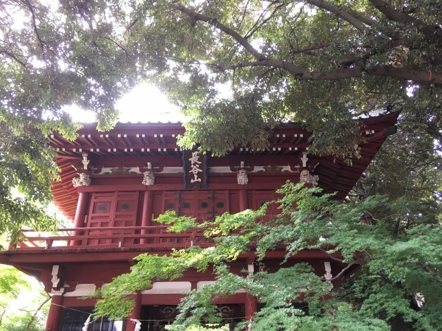 松戸市の時計店！腕時計の電池交換や修理、買取販売のおすすめ