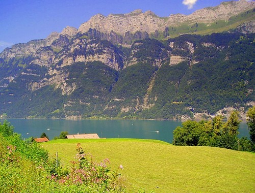 スイスメイドなのにリーズナブル