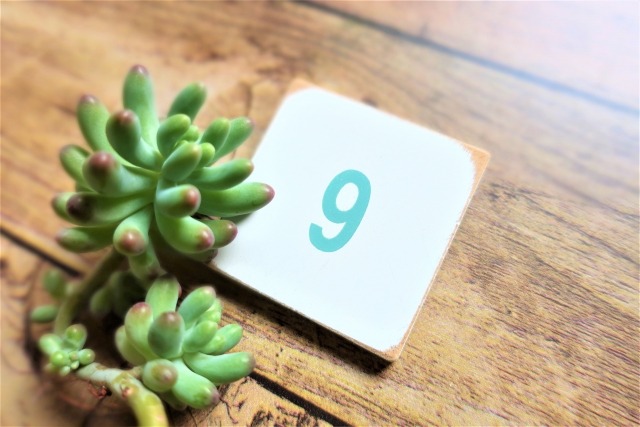 SEIKOプロスペックス ダイバーズスキューバの人気モデル9選