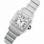 サントスガルベ W20054D6