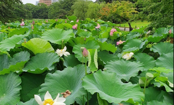 高松市の時計店中山時計店の特徴