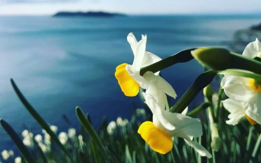 南あわじ市の時計店は数少ない 修理店は洲本市の方にも