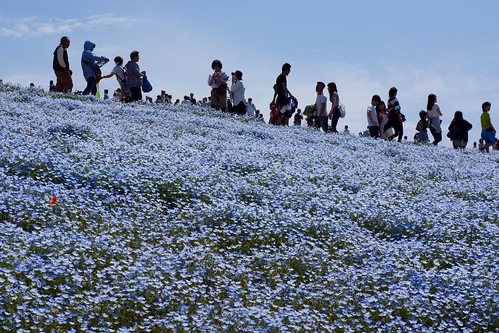 ひたちなか市の時計店は地域密着型のお店や買取店が充実
