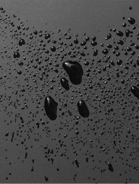 ③高い防水性を誇るバッグが強み