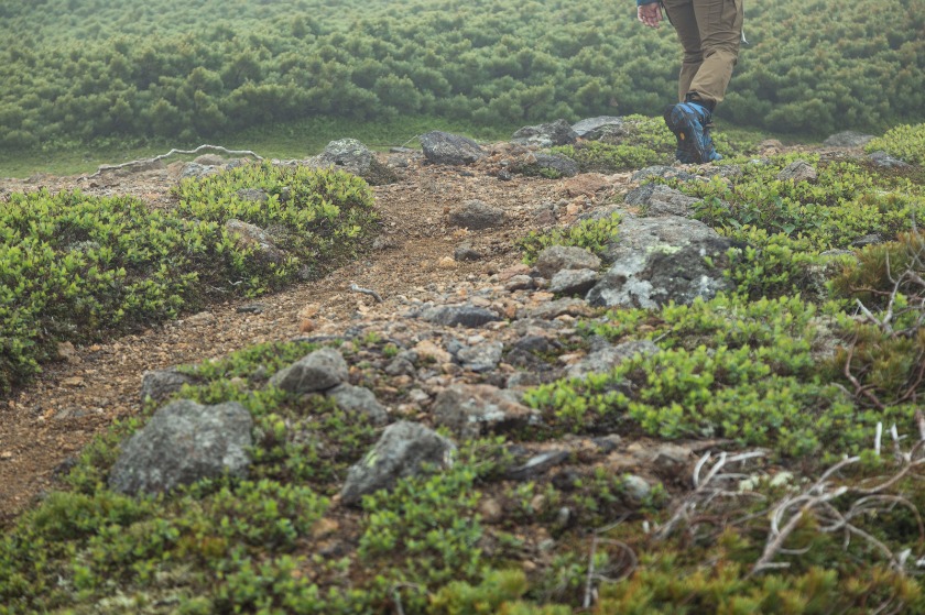 GWG-1000-1AJFの特徴・機能