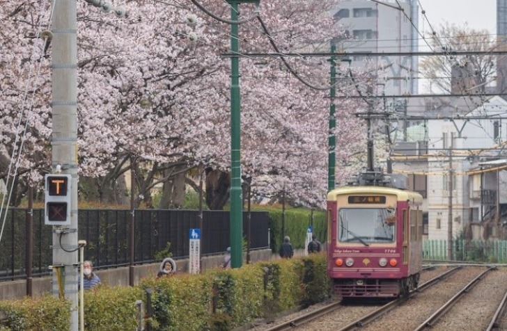 王子の時計店：お多福 東十条店の買取実績