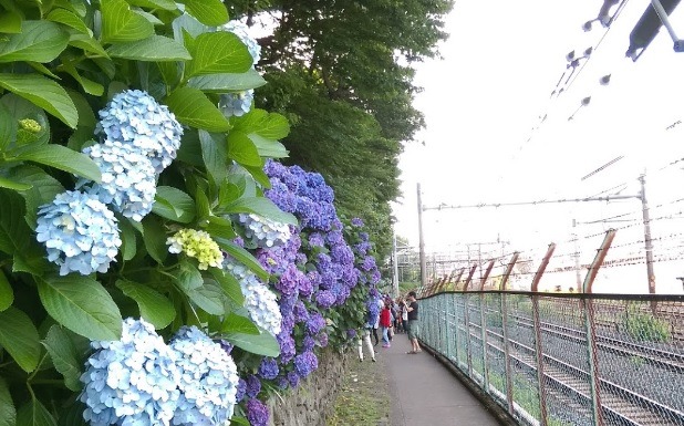 王子の時計店：大黒屋王子駅前店の特徴